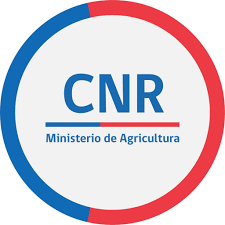 Institución Relacionada